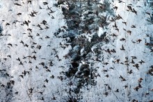 Tilhitaivas, Kuopio 1998.